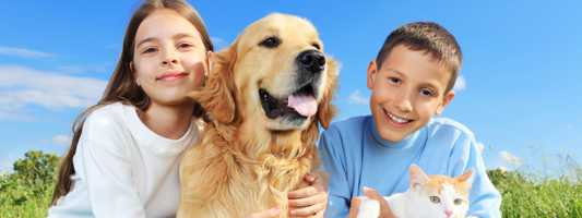 What’s the Easiest Way to Add Supplements to My Pet’s Food?