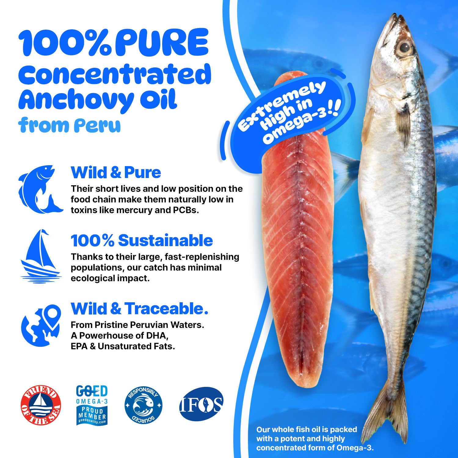 AEICOI AEICOI Premium Wild Alaskan Salmon Oil for Dogs & Cats - High Potency Omega 3-6-9 Liquid Food Supplement - Supports Skin & Coat, Joint Health, Heart & Immune System - All Natural EPA & DHA - [16 Fl Oz]