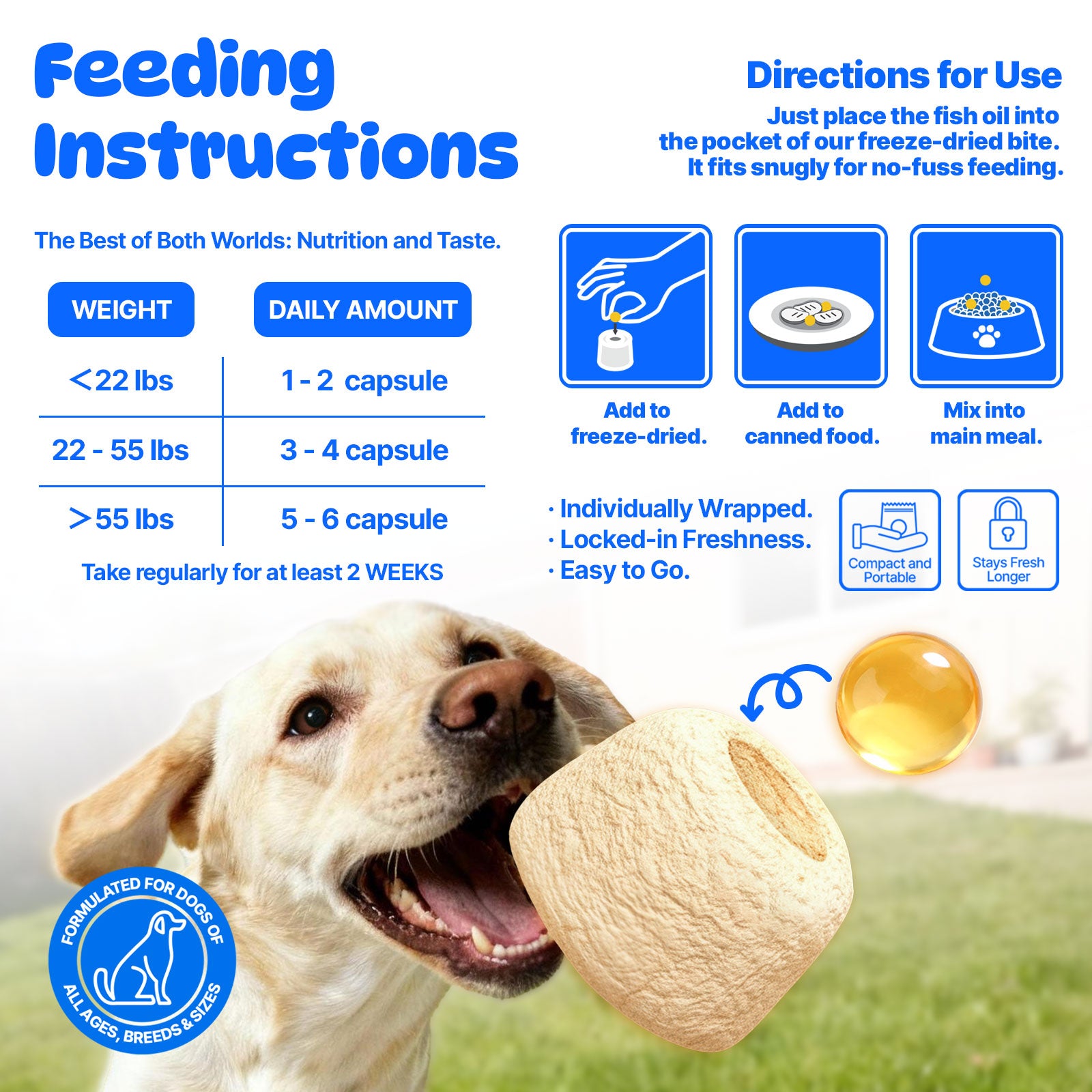 AEICOI AEICOI Premium Wild Alaskan Salmon Oil for Dogs & Cats - High Potency Omega 3-6-9 Liquid Food Supplement - Supports Skin & Coat, Joint Health, Heart & Immune System - All Natural EPA & DHA - [16 Fl Oz]